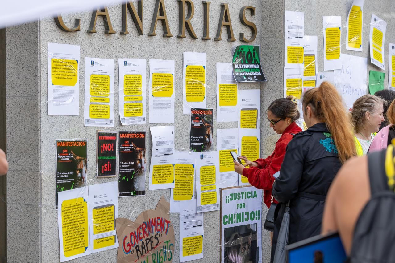 En imágenes, la manifestación para proteger a los gatos