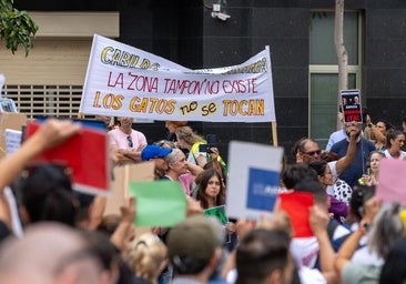 Protesta en defensa de las colonias felinas de Canarias