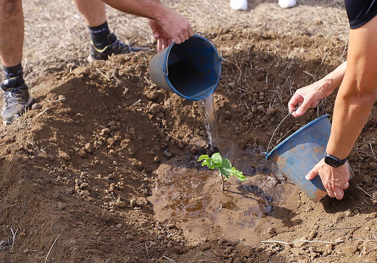 HiperDino presenta su Memoria de Sostenibilidad y fortalece su comunicación responsable y transparente