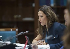 La consejera de Turismo y Empleo del Gobierno de Canarias, Jéssica de León.