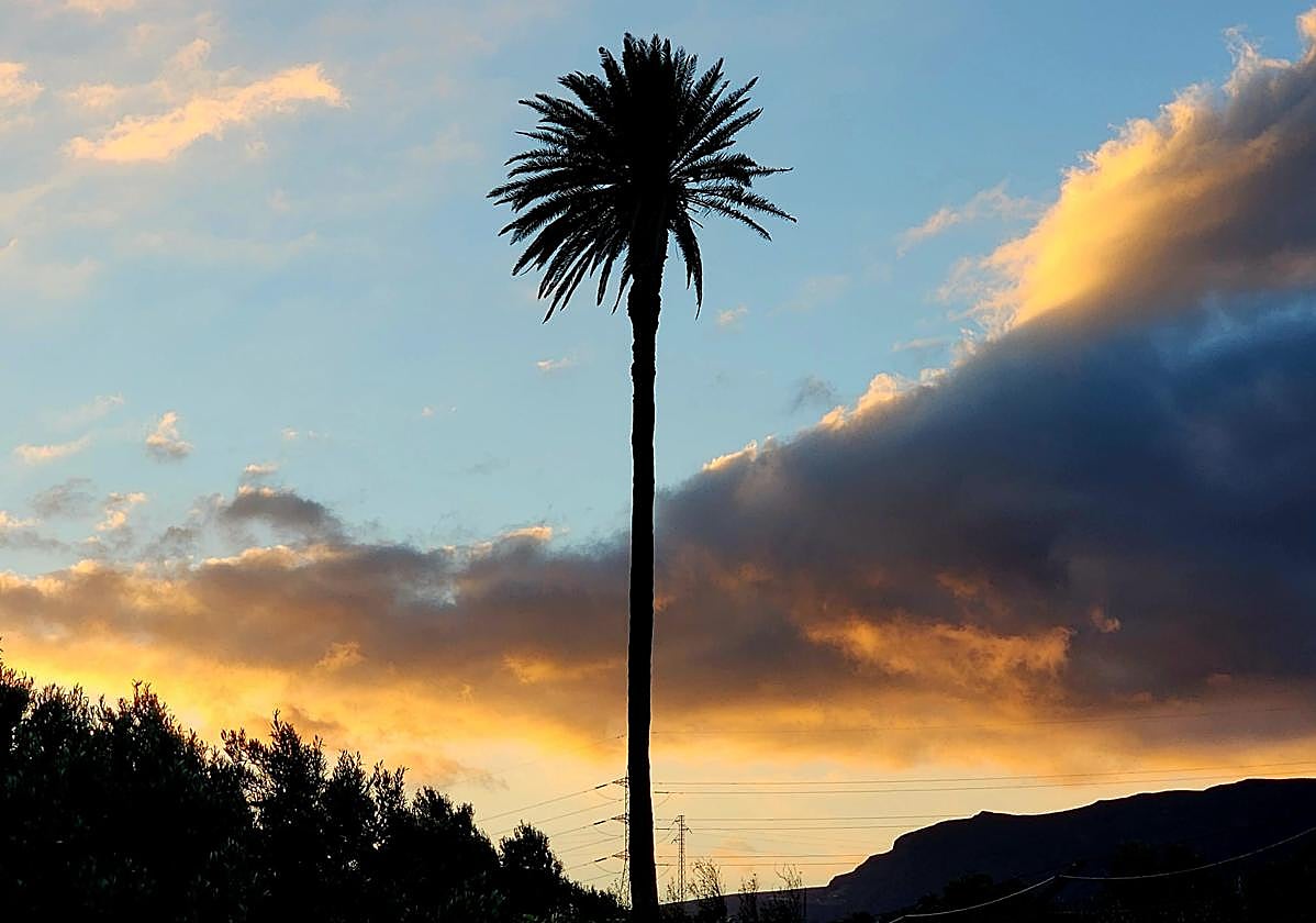 Las nubes se concentrarán en la franja matinal y al mediodía en el norte y medianías. Al sur de las islas predominarán los cielos despejados. Imagen del sureste grancanario.