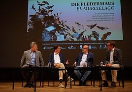 De izquierda a derecha, José Luis Rivero, Cristóbal de la Rosa, Jorge Perdigón y Tilman Kuttenkeuler, este martes, en el Auditorio Alfredo Kraus.