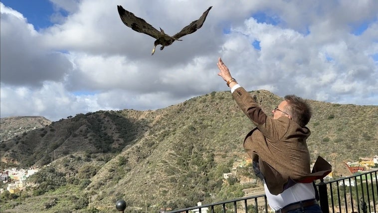 Una de las águilas siendo puesta en libertad.