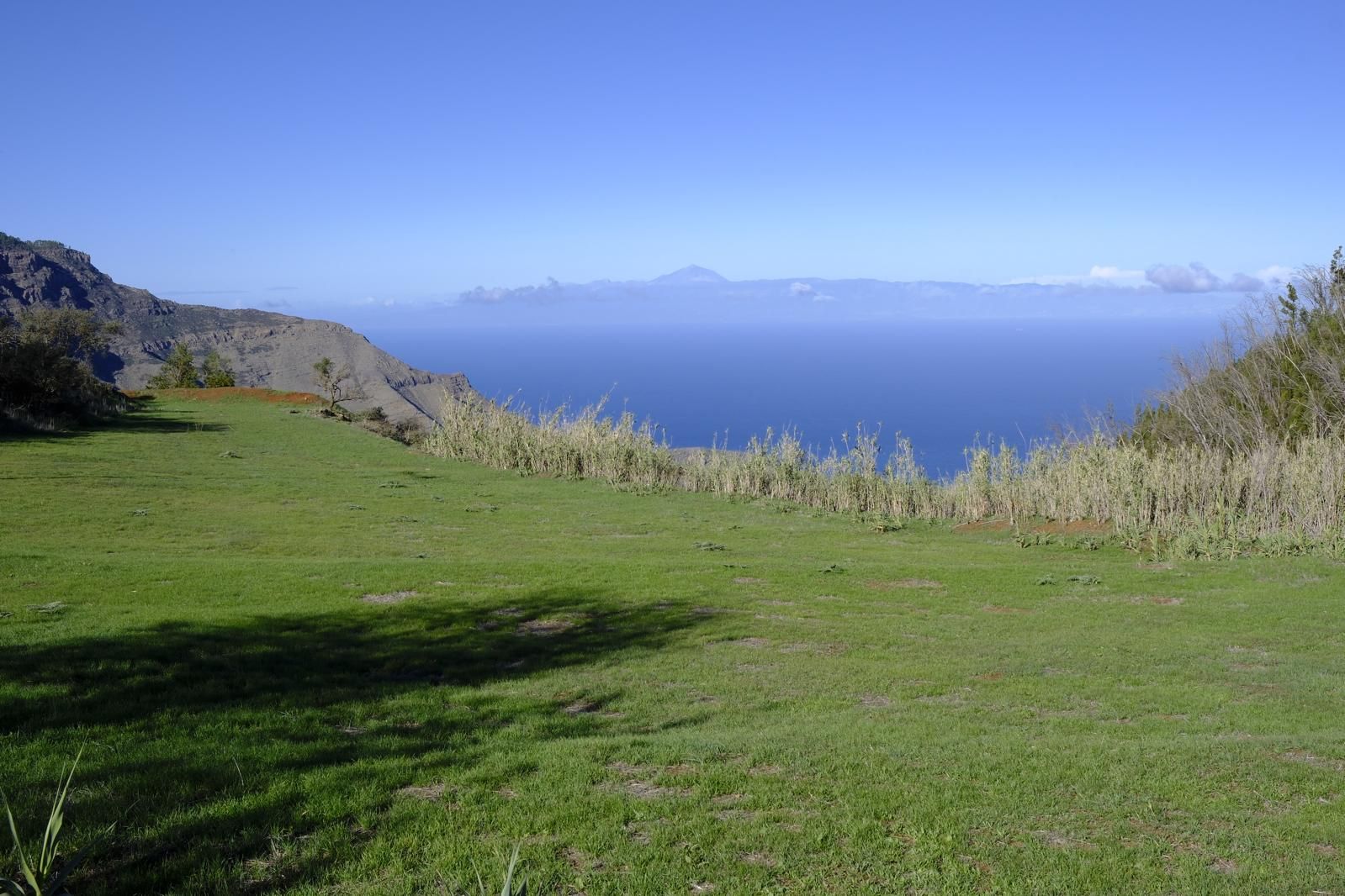 Gran Canaria amanece verde y sin lluvia