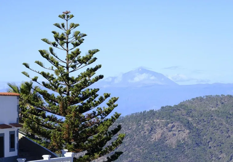 El día amaneció despejado en prácticamente toda Gran Canaria.