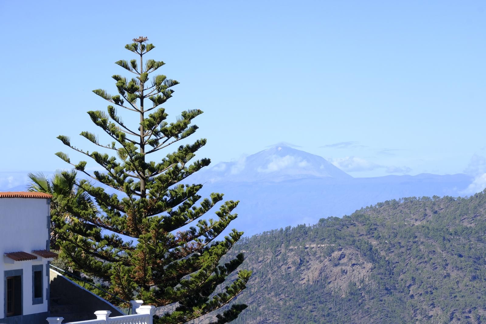 Gran Canaria amanece verde y sin lluvia