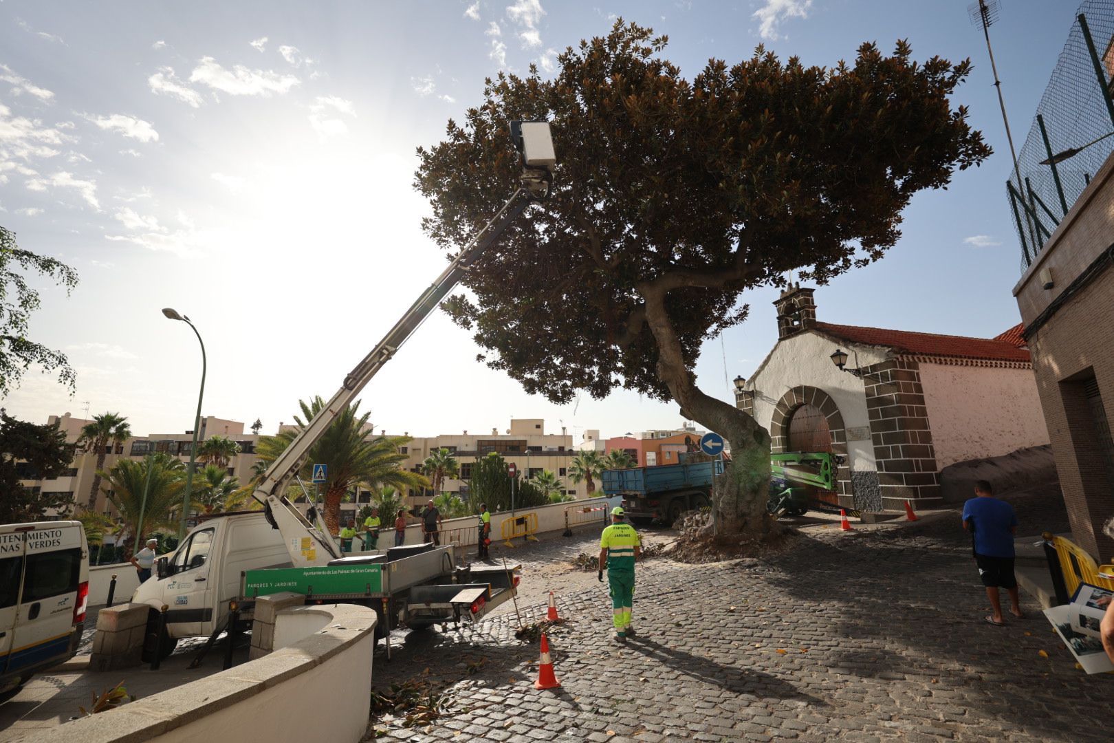 Los vecinos evitan la tala del árbol de la ermita de San Nicolás