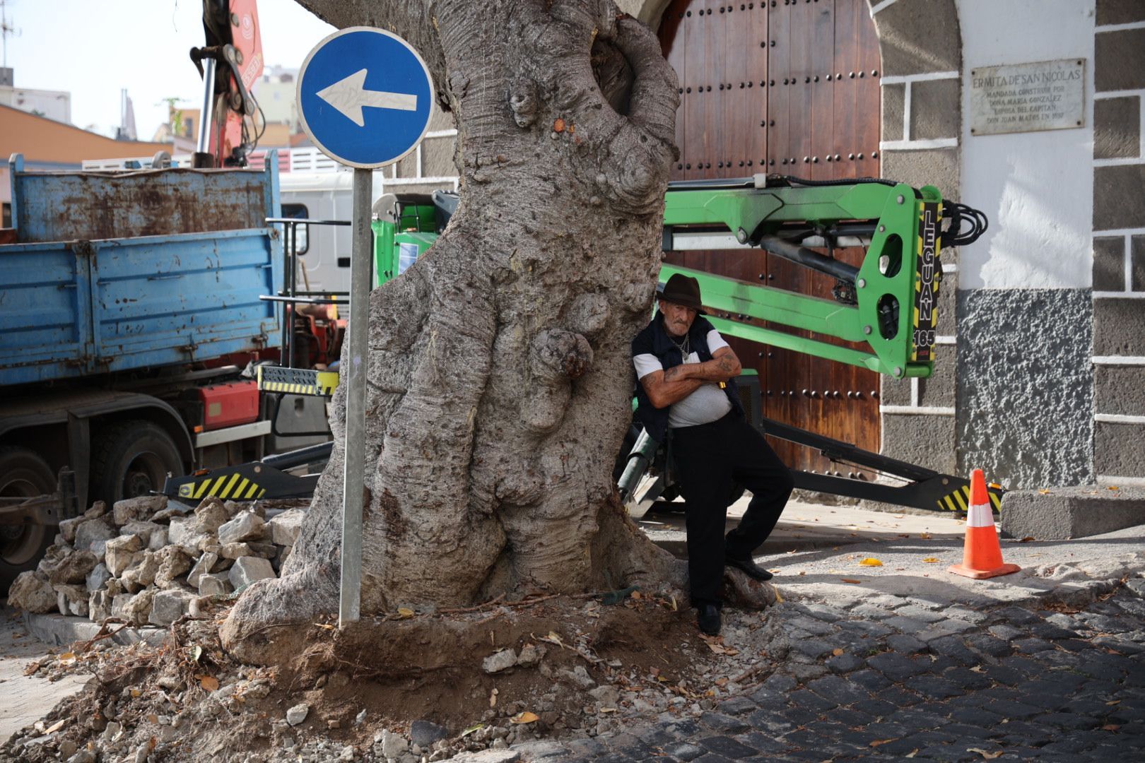 Los vecinos evitan la tala del árbol de la ermita de San Nicolás