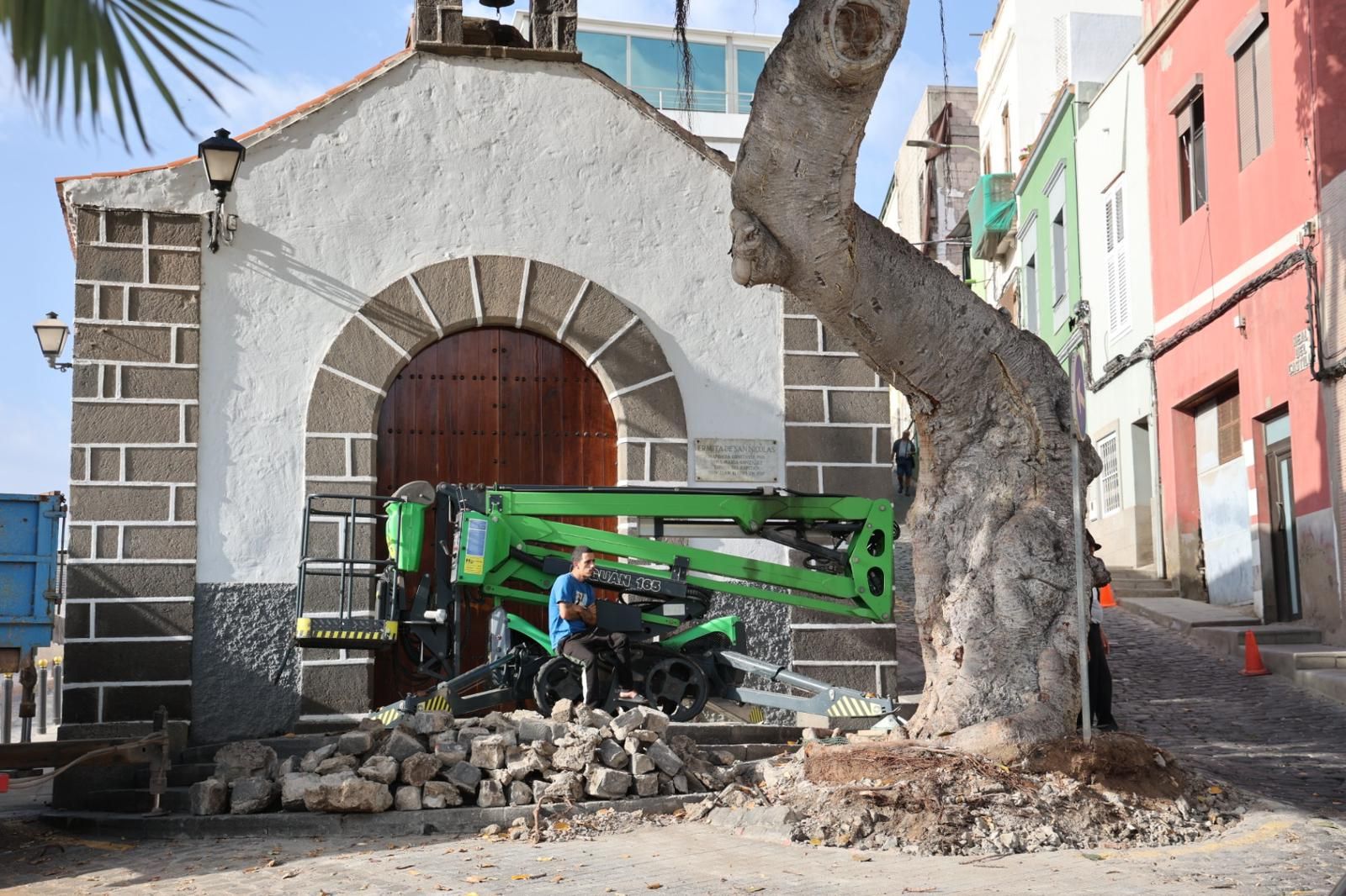 Los vecinos evitan la tala del árbol de la ermita de San Nicolás