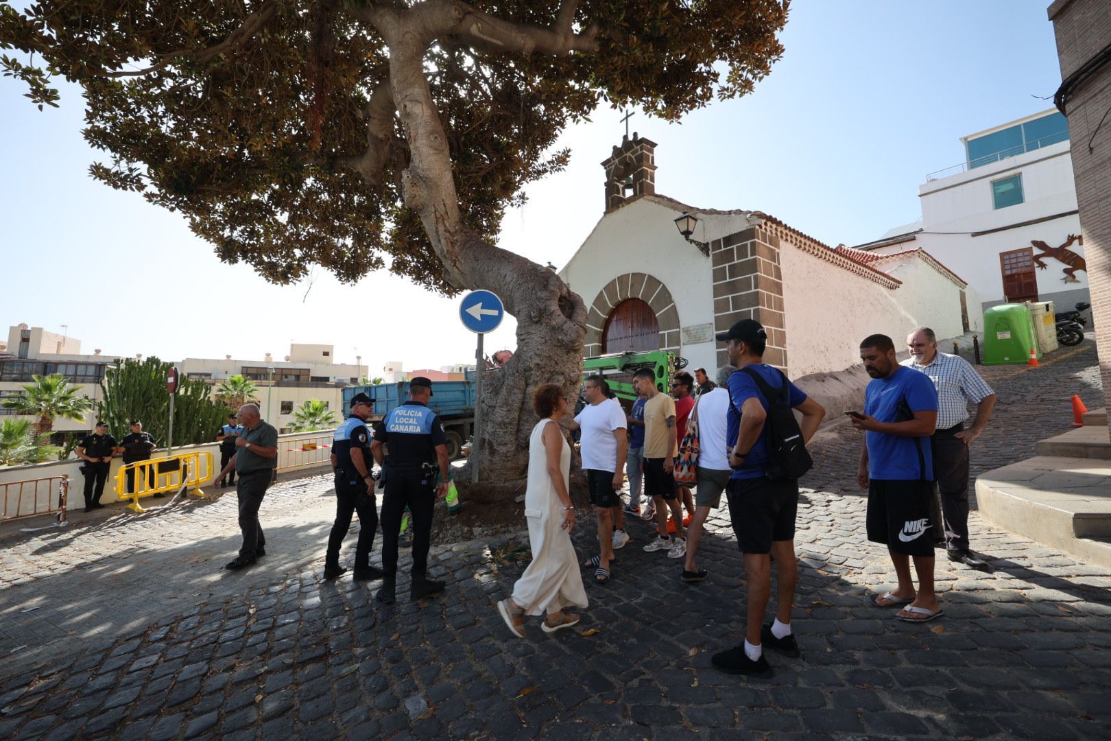 Los vecinos evitan la tala del árbol de la ermita de San Nicolás