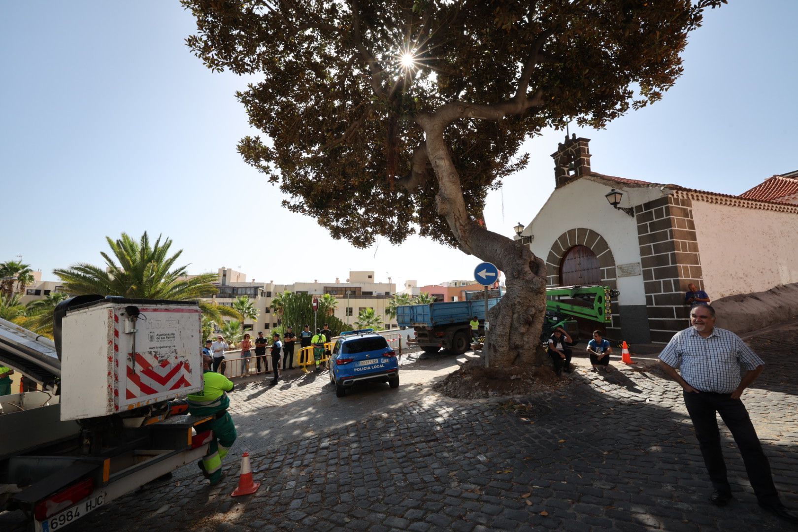 Los vecinos evitan la tala del árbol de la ermita de San Nicolás