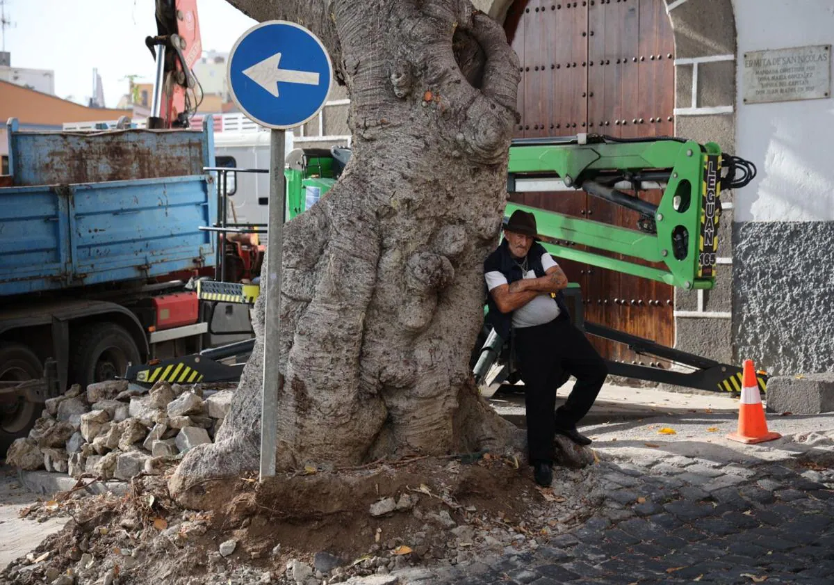 Imagen principal - Los residentes no quieren que se retire el árbol y piden alternativas.