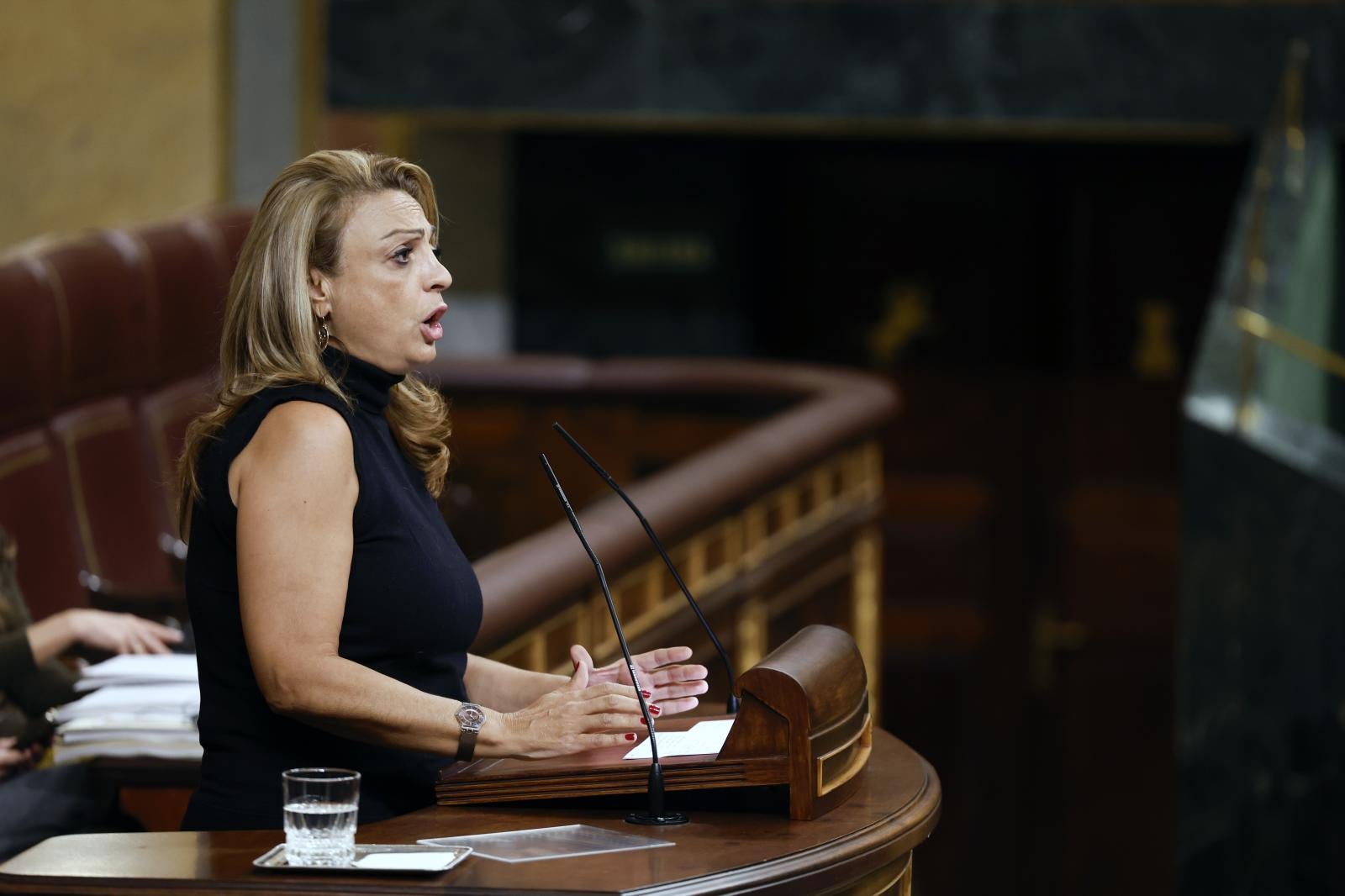 La diputada de Coalición Canaria en el Congreso de los Diputados, Cristina Valido.