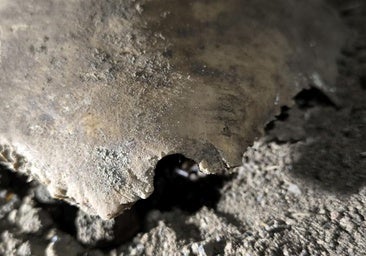 Hallan en la Sima un parietal con orificio de bala y munición de arma corta