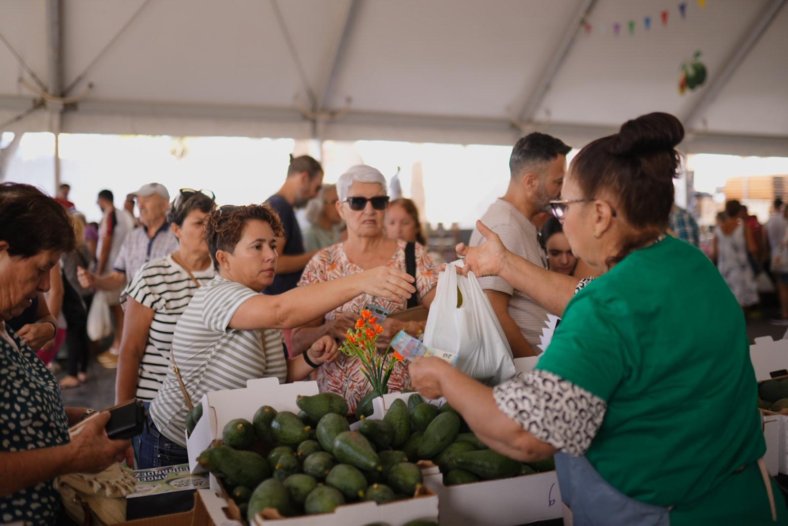 La IX Feria del Aguacate vuelve a Mogán