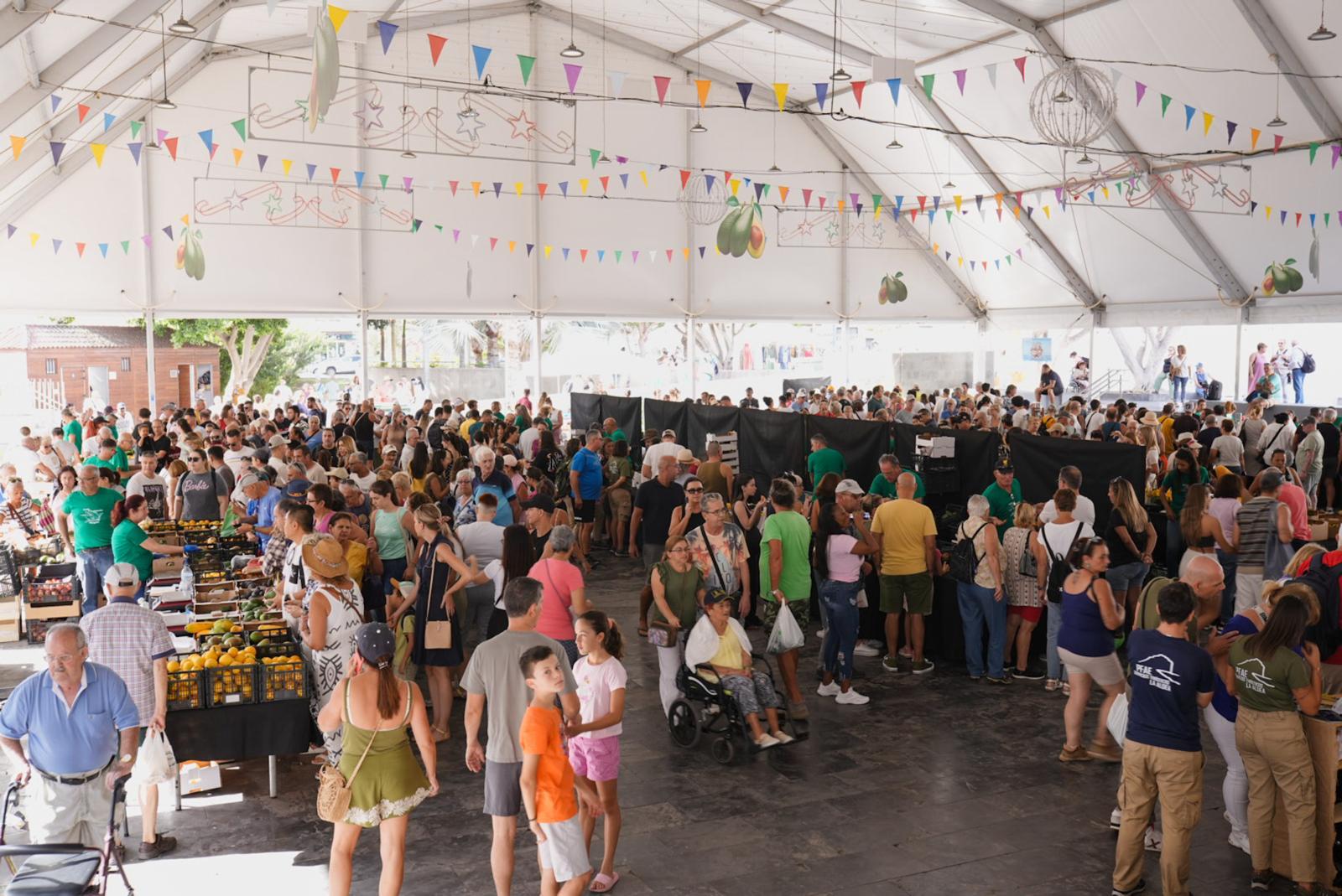 La IX Feria del Aguacate vuelve a Mogán