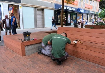 Guerra a las ratas de Mesa y López: el Ayuntamiento sella la tarima para que no salgan a la calle