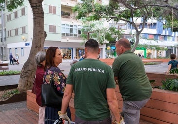 «Es cuestión de días que las ratas desaparezcan de Mesa y López»