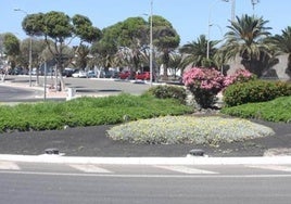 Un fallo contable retrasará la red de riego en zonas verdes en Arrecife