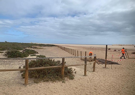 La cuadrilla de Gesplan repone la valla del Saladar.