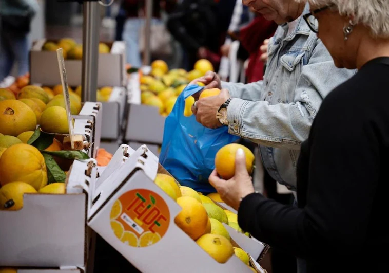 Un momento de la feria, este domingo.