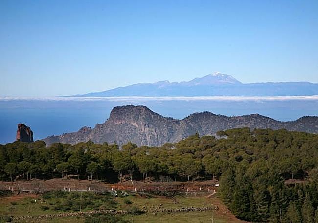 Vista del Teide, en Tenerife, con el Roque Bentayga y el pinar de Tamadaba en primer plano.