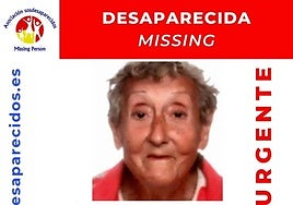 Cartel de la desaparecida.