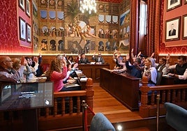 Imagen de la sesión plenaria.