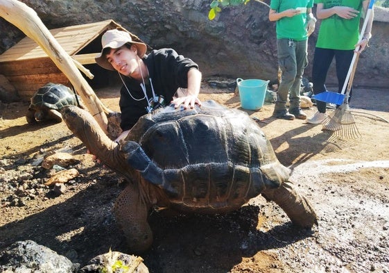 Estudiante de veterinaria, con las tortugas terrrestres gigantes del Oasis Wildlife, situado en La Lajita, en el municipio de Pájara.
