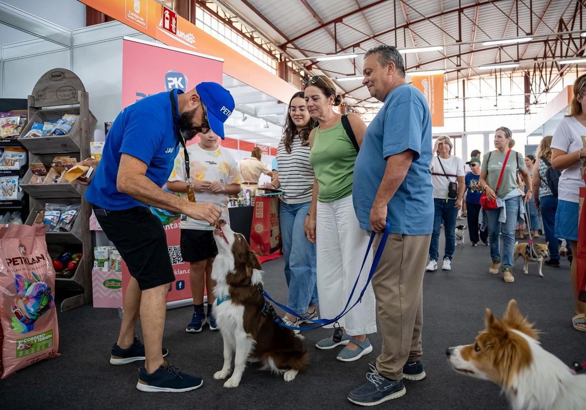 Imagen correspondiente a Animundo, la Feria del Animal de Compañía.