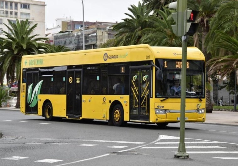 Canarias se queda sin guaguas gratis y sin ayudas a La Palma tras el rechazo en el Congreso de PP, Junts y Vox