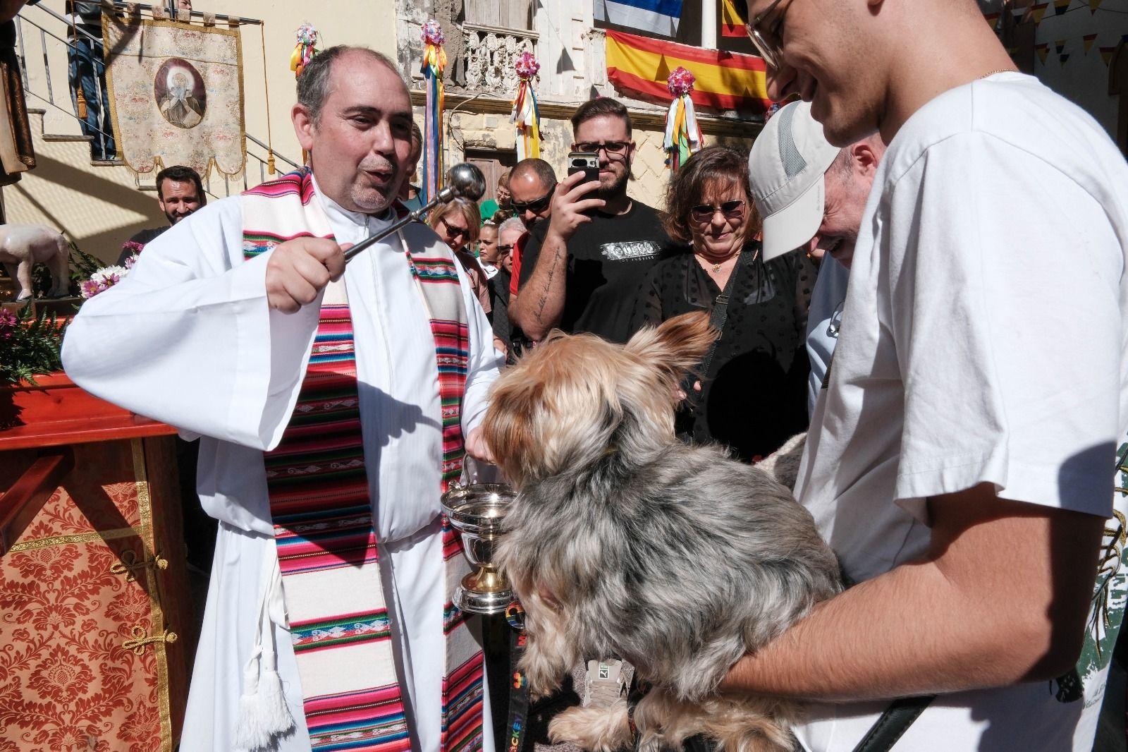 Bendición de mascotas en Tamaraceite