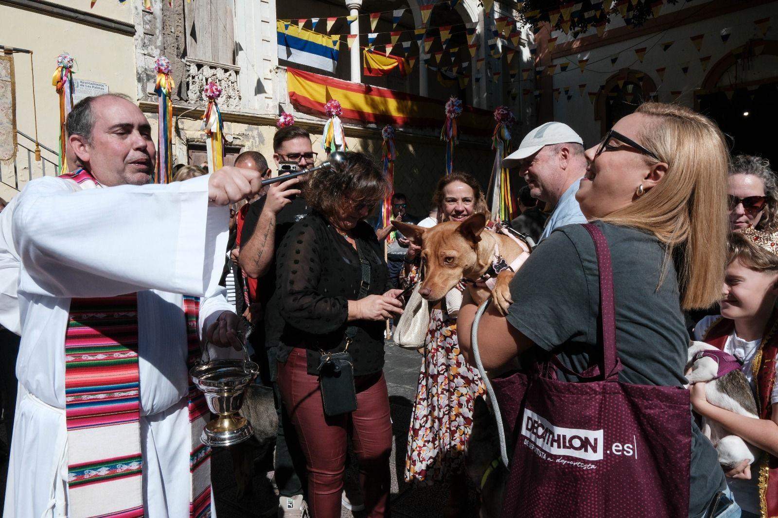 Bendición de mascotas en Tamaraceite