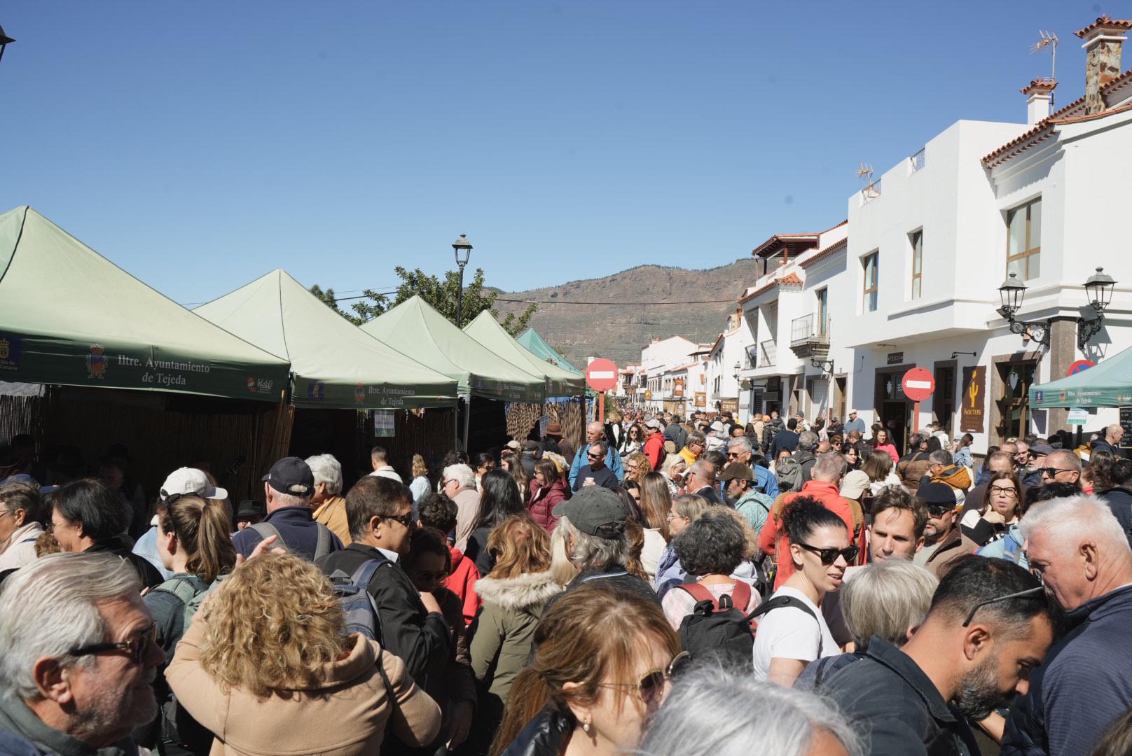 El almendro florece para los turistas