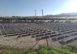Imagen de placas fotovoltaicas instaladas en suelo rústico.
