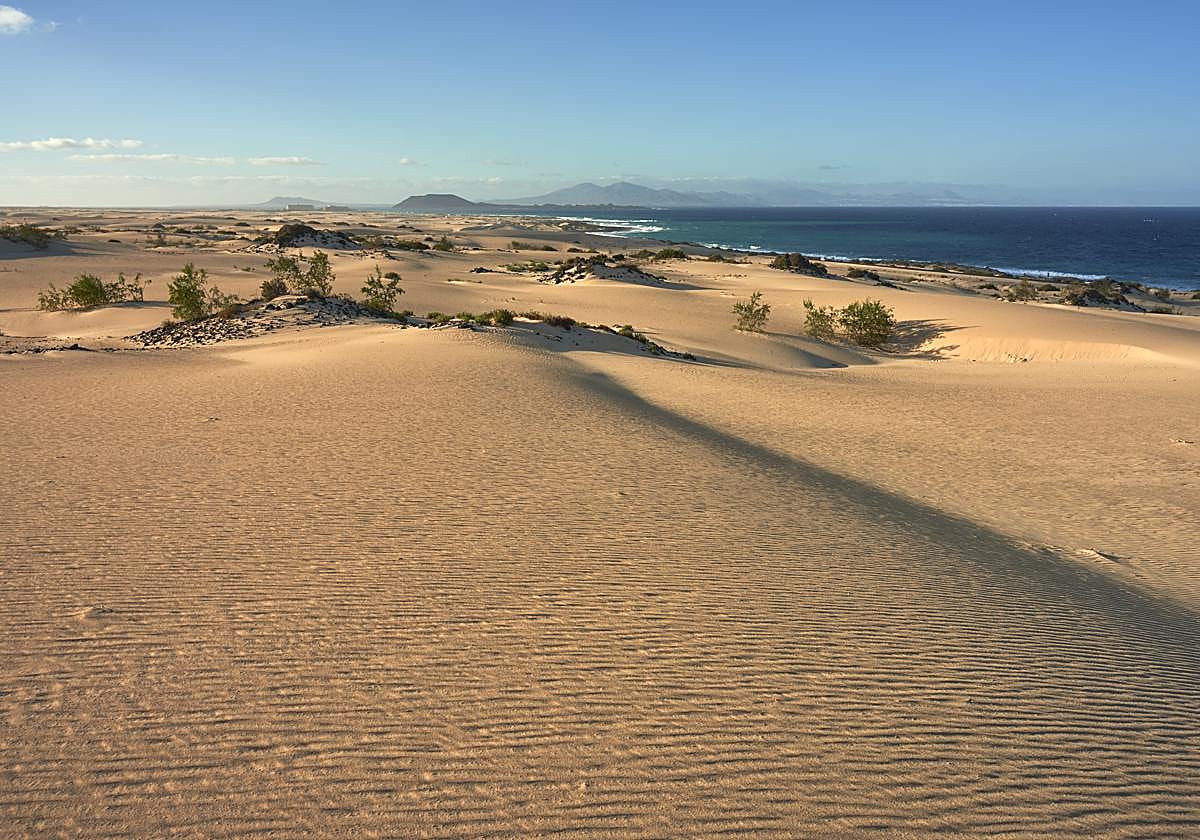 Zona de actuación en las Dunas de Corralejo.