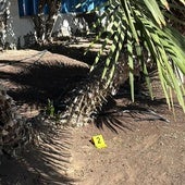 Hallados otros 12 cebos con restos de veneno en Arguineguín