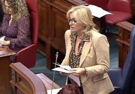 La consejera de Sanidad, Esther Monzón, en el Pleno de este martes.