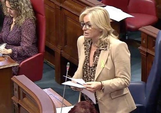 La consejera de Sanidad, Esther Monzón, en el Pleno de este martes.
