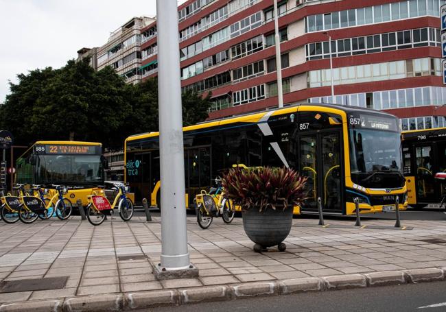 Guaguas en la zona de Mesa y López.