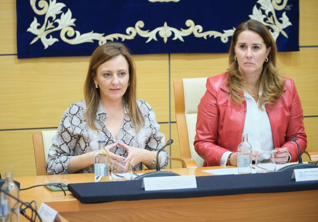 Nieves Lady Barreto y Lola García, en la reunión convocada por el Cabildo majorero con los ayuntamientos.