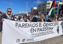 Imagen de archivo de movilizaciones por el pueblo palestino.