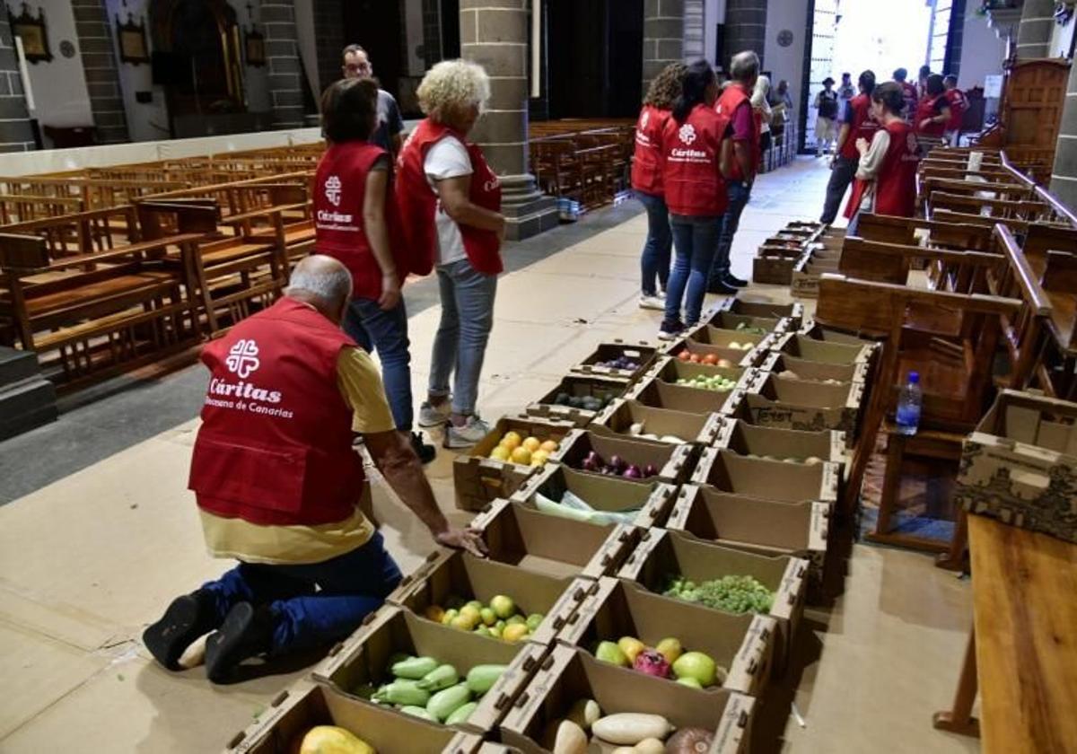 Voluntarios de Cáritas clasifican los alimentos recibidos en la última romería del Pino, en Teror.