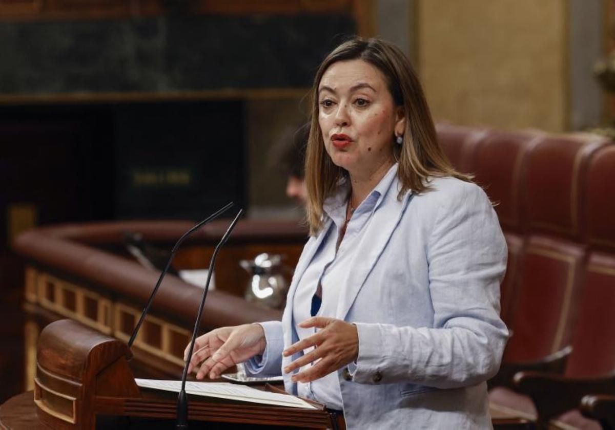 La diputada del PSOE, Mª Dolores Corujo Berriel durante su intervención en el pleno en el Congreso.