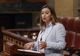 La diputada del PSOE, Mª Dolores Corujo Berriel durante su intervención en el pleno en el Congreso.