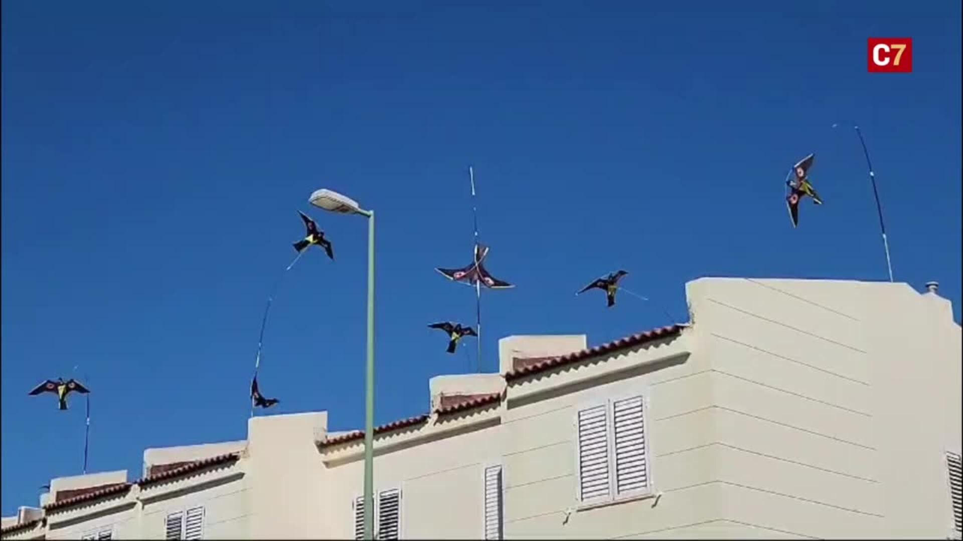Cometas asustapalomas en El Tablero