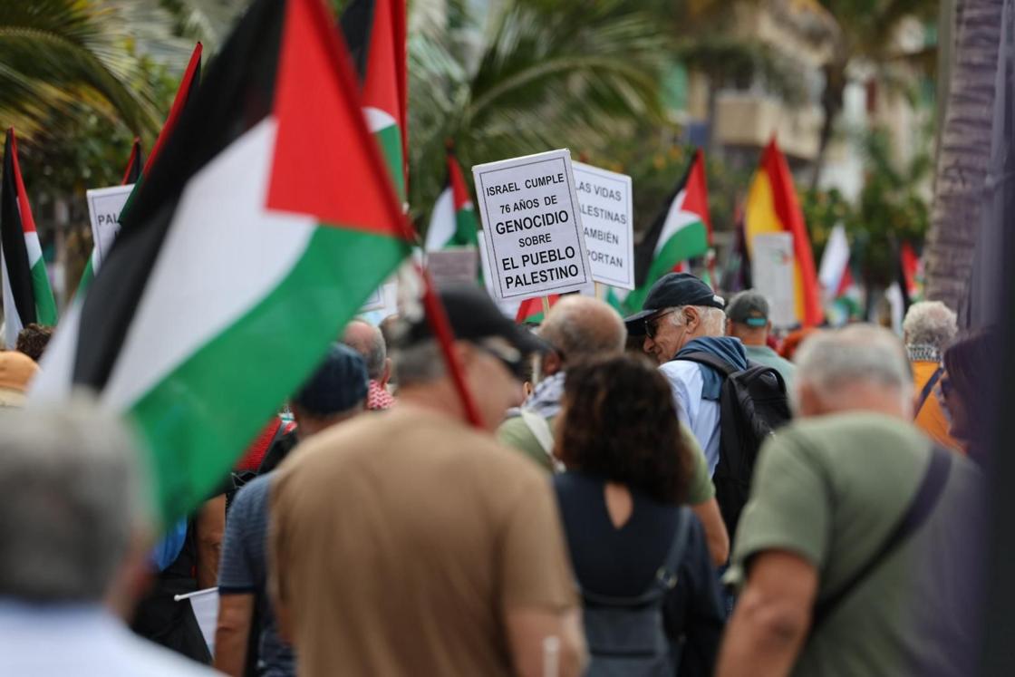 Manifestación contra la guerra, en defensa de la paz y del pueblo palestino