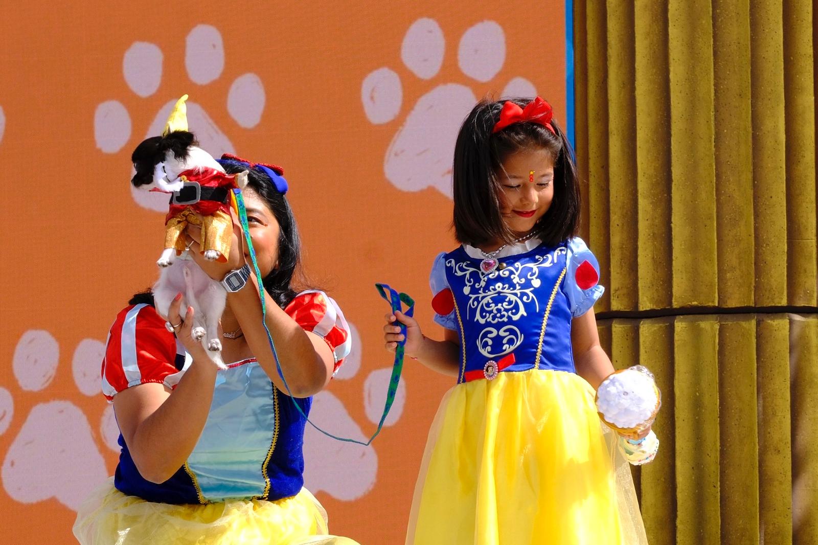 El carnaval canino de la capital grancanaria, en imágenes