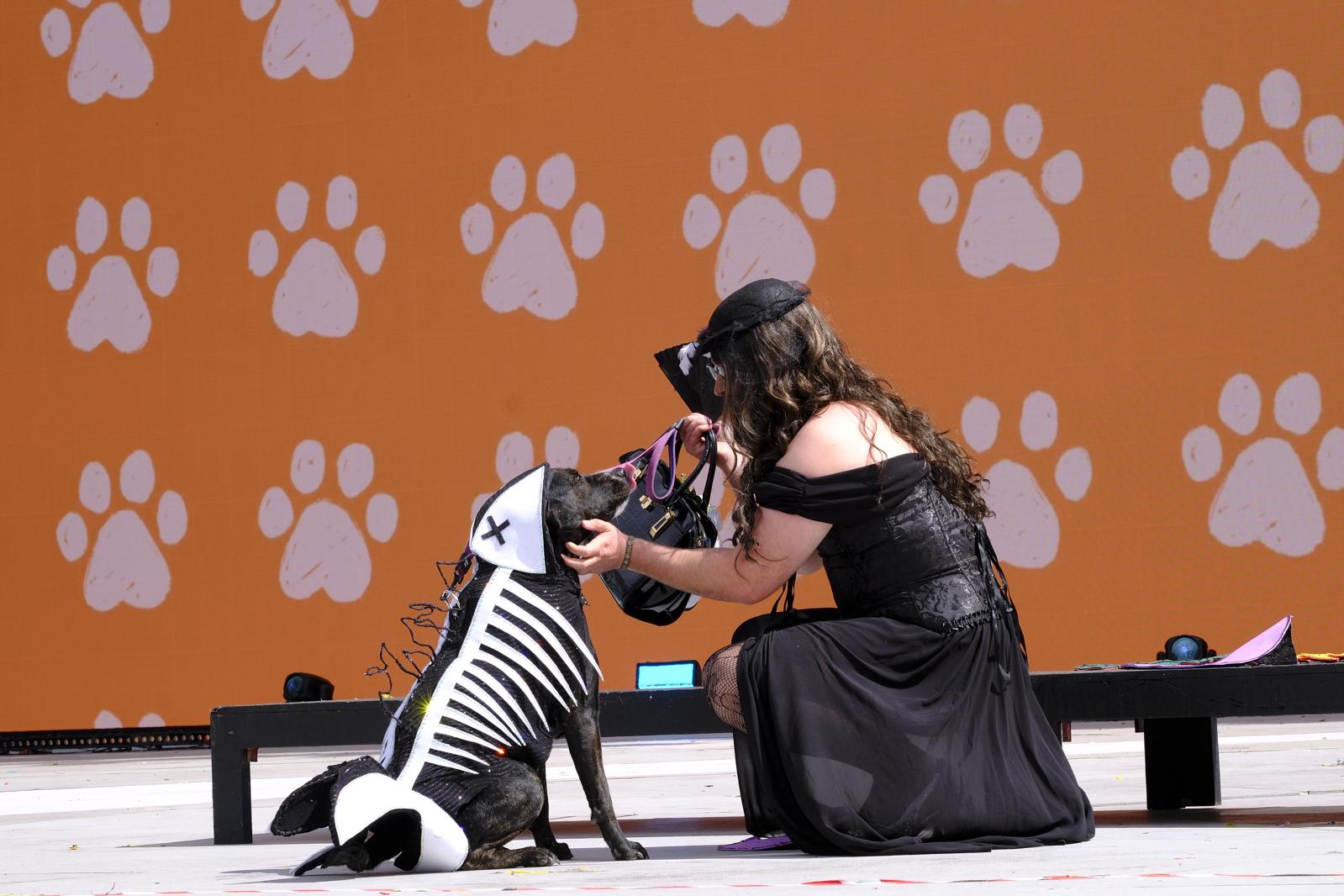 El carnaval canino de la capital grancanaria, en imágenes