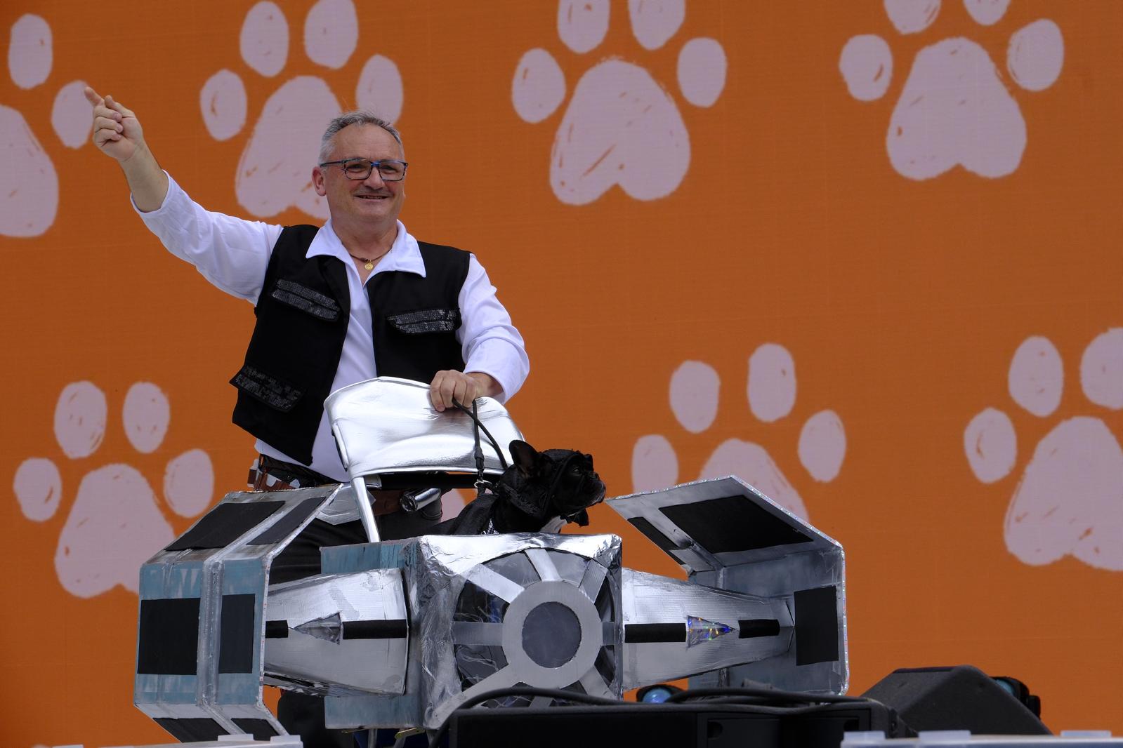 El carnaval canino de la capital grancanaria, en imágenes